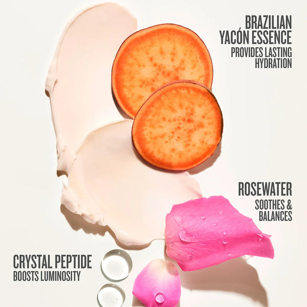 Rosa Charmosa™ Dewy Cream image 3