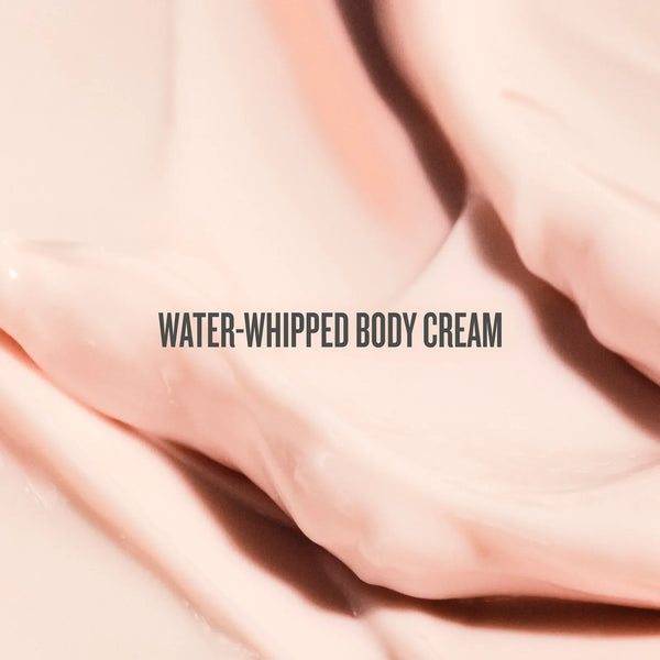Rosa Charmosa™ Dewy Cream image 8